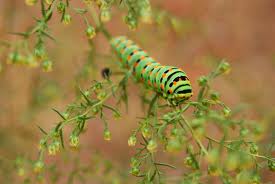 get a wriggle on